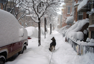 Schneegestöber in Ridgewood, Queens