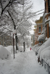 Schneegestöber in Ridgewood, Queens