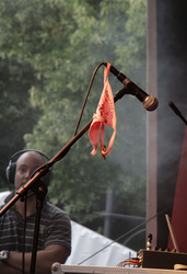 Souvenir von Nevada Tan Fan