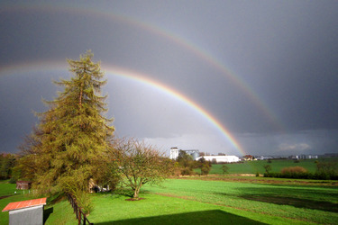Regenbogen