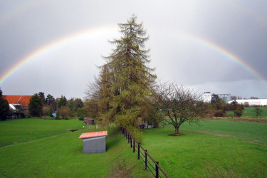 Regenbogen