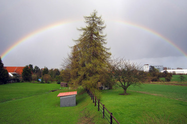 Regenbogen