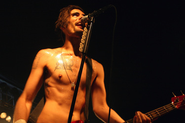Tyson Ritter (The All-American Rejects)