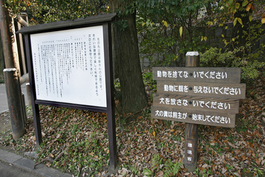 In den Kaiserlichen Gärten