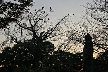Samurai Statue am Kaiserlichen Garten