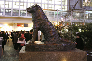 Hachiko Denkmal am Bahnhof Shibuya