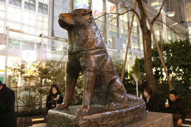 Hachiko Denkmal am Bahnhof Shibuya