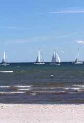 Regatta
