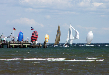 Regatta