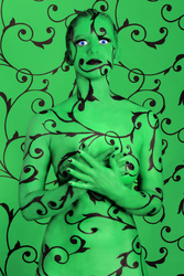 Chamäleon / Chameleon