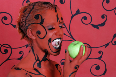 Chamäleon / Chameleon