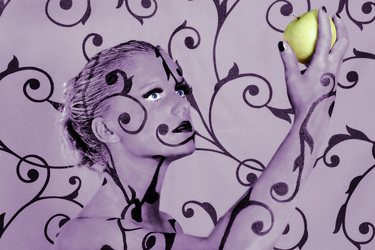 Chamäleon / Chameleon