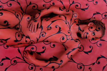 Chamäleon / Chameleon