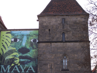 Werbebanner für Maya-Ausstellung im Roemer- und Pelizaeus-Museum