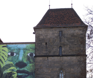 Werbebanner für Maya-Ausstellung im Roemer- und Pelizaeus-Museum