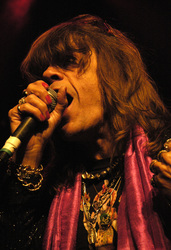 David Johansen