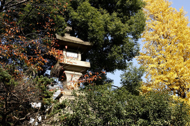 Am Weg zum Yasukuni-Schrein