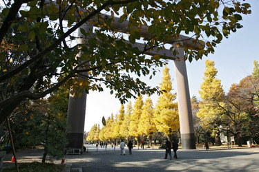 Torbogen auf dem Weg zum Yasukuni-Schrein