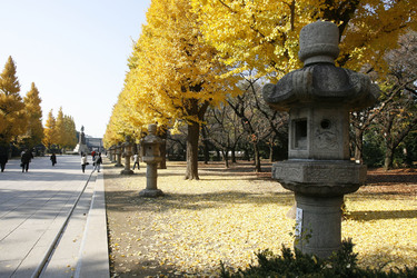 Am Weg zum Yasukuni-Schrein