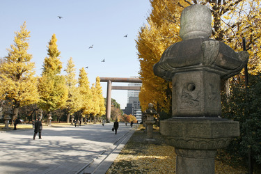 Torbogen auf dem Weg zum Yasukuni-Schrein