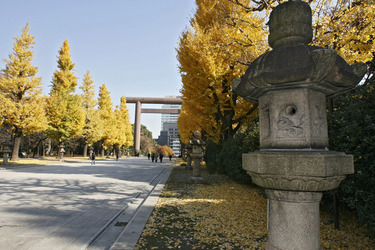 Torbogen auf dem Weg zum Yasukuni-Schrein