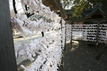 Omikuji am Yasukuni-Schrein