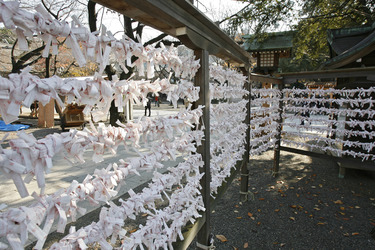 Omikuji am Yasukuni-Schrein