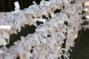 Omikuji am Yasukuni-Schrein