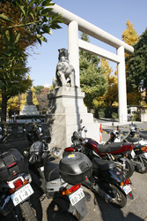Torbogen auf dem Weg zum Yasukuni-Schrein