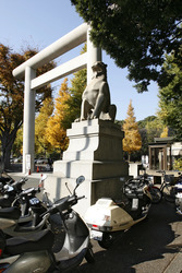 Torbogen auf dem Weg zum Yasukuni-Schrein