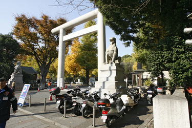 Torbogen auf dem Weg zum Yasukuni-Schrein