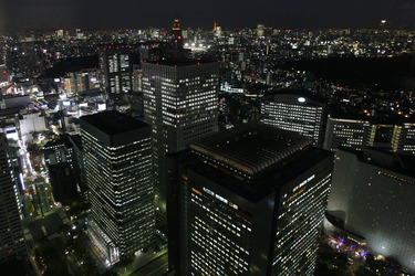 Blick von 45. Stock des Tokyo Metropolitan Government Buildings