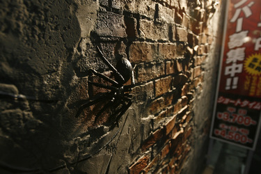 Spinne am Eingang zum Themen-Love Hotel Malta in Shinjuku