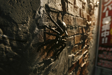 Spinne am Eingang zum Themen-Love Hotel Malta in Shinjuku