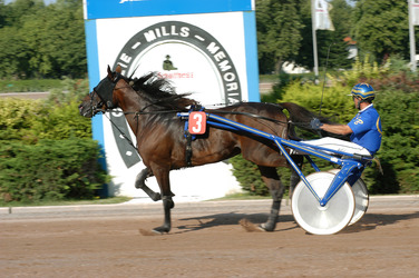 'Fotoboy Diamant' mit Jockey