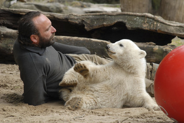 Eisbär Knut mit Tierpfleger Thomas Dörflein
