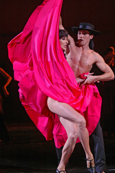 Musical-Show 'Casanova'