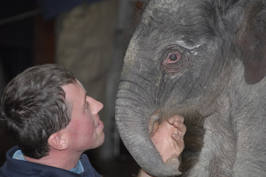 Elefanten-Baby Jamuna Toni