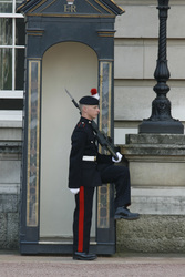 Wache vor dem Buckingham-Palast / Buckingham Palace