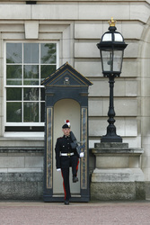 Wache vor dem Buckingham-Palast / Buckingham Palace