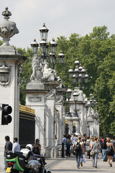 Zaum vor dem Buckingham-Palast / Buckingham Palace