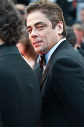 Benicio Del Toro