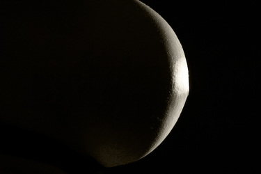 Schwanger / Pregnant