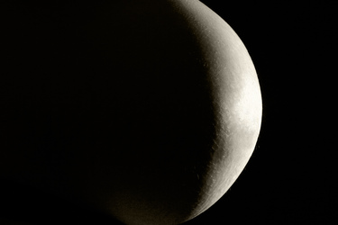 Schwanger / Pregnant