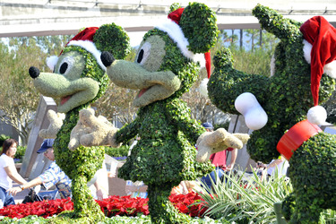 Micky Maus, Minnie Maus