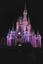 Cinderella Castle