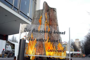 Mammutbaum vor dem Kino International