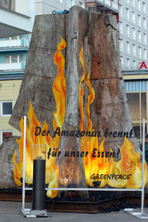 Mammutbaum vor dem Kino International