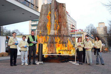 Greenpeace Aktivisten mit Mammutbaum