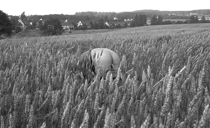 Naturfreund / Friend of Nature